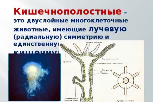 Новая ссылка на кракен