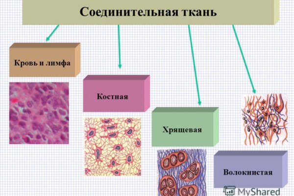 Почему не могу зайти на кракен